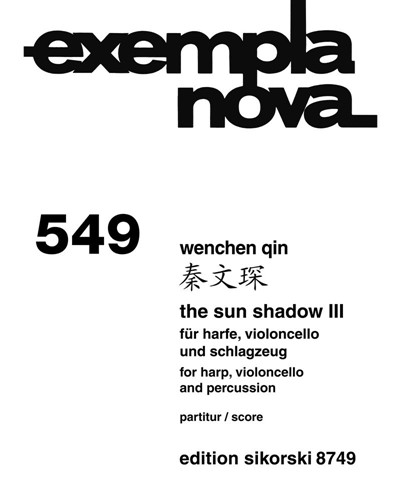 The Sun Shadow III