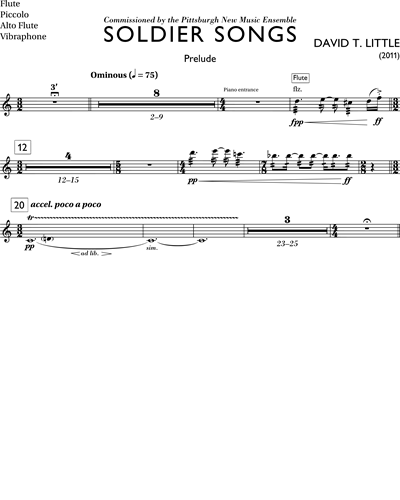 Flute/Piccolo/Alto Flute/Vibraphone