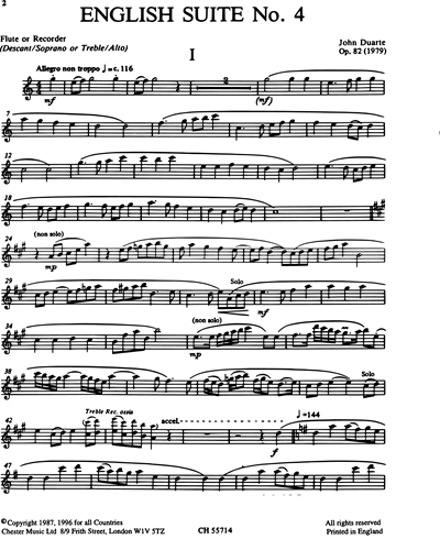 Flute/Recorder (Alternative)