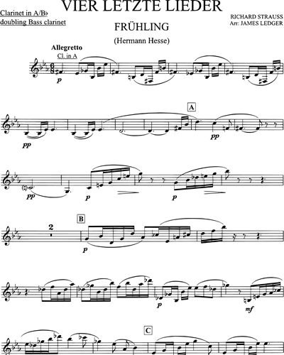 Clarinet in A & Bb/Bass Clarinet