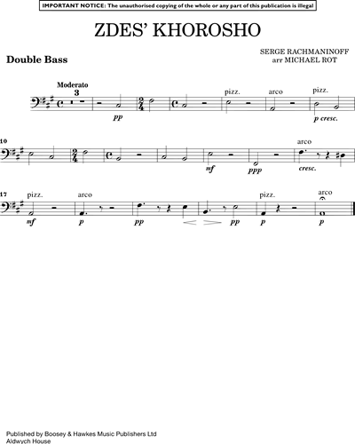 Double Bass