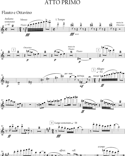 Turandot - Riduzione per piccola orchestra