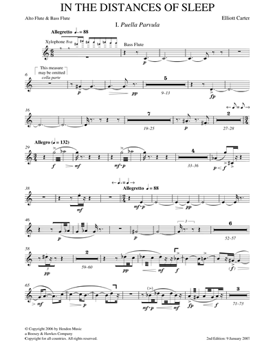 Alto Flute/Bass Flute