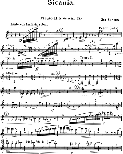 Flute 2/Piccolo 2