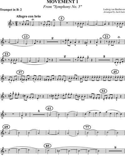 Allegro con brio (from 'Symphony No. 5, op. 67')