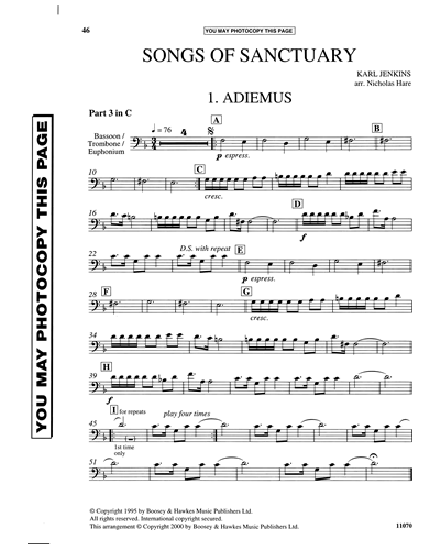 Two Movements from "Adiemus: Songs of Sanctuary"