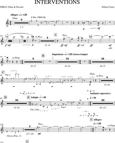 [Group 1] Flute/Piccolo