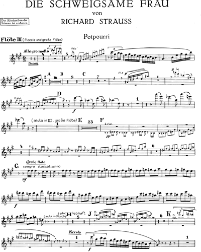 Flute/Piccolo 3
