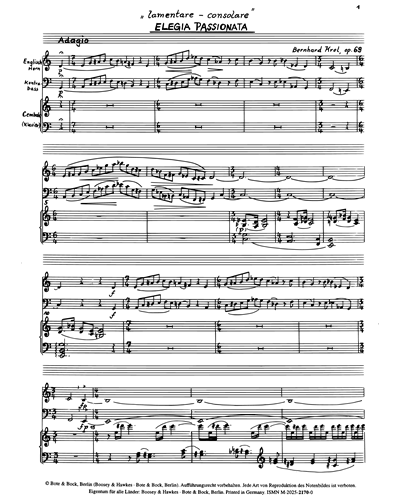 Elegia Passionata op. 69