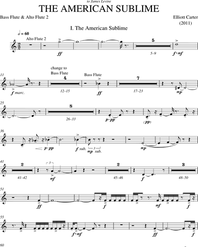 Bass Flute/Alto Flute 2
