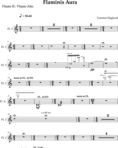 Flute 2/Alto Flute in G