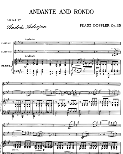 Andante und Rondo, op. 25
