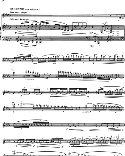 Flute (Cadenza)