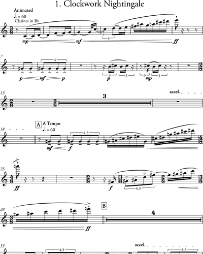 Clarinet in Bb/Bass Clarinet