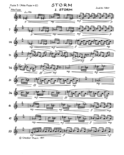 Flute 3/Alto Flute/Piccolo