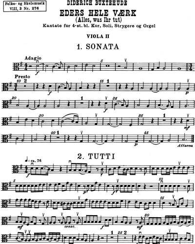 Viola 2