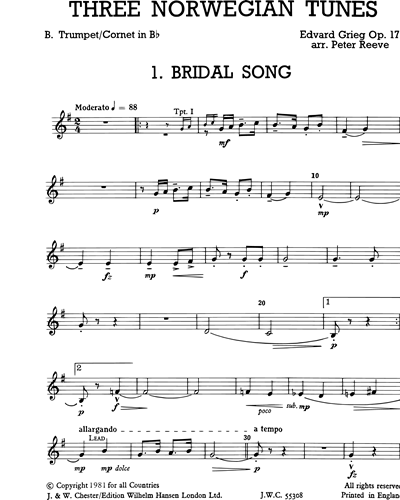 Trumpet in Bb 2/Cornet in Bb 2 (Alternative)
