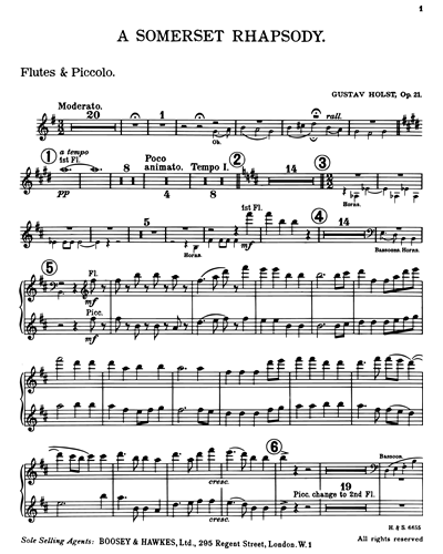 Flute & Piccolo