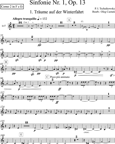 Symphonie Nr. 1 g-moll (’Winterträume’)
