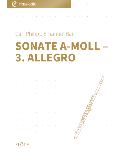 Allegro (No. 3 from 'Sonate in A minor')