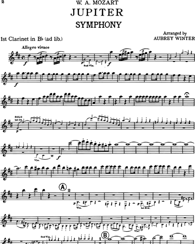 Clarinet in Bb 1 (Optional)