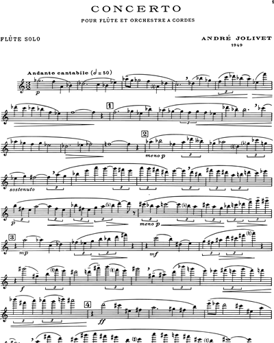 Concerto pour Flûte et Orchestre à Cordes