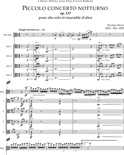 Piccolo Concerto Notturno, Op. 137