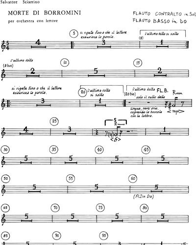 Alto Flute in G/Bass Flute in C