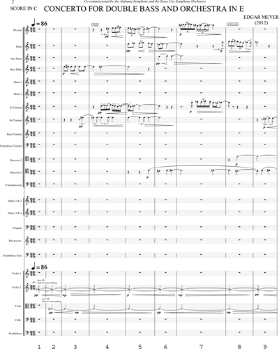 Concerto for Double Bass and Orchestra in E