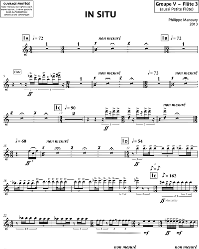 [Group 5] Flute 3/Piccolo