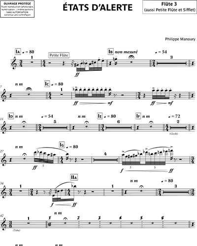 Flute 3/Piccolo/Whistle