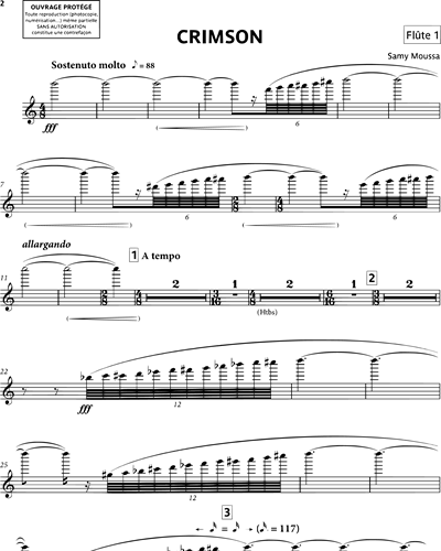 Flute 1/Piccolo (Optional)