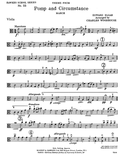 Viola