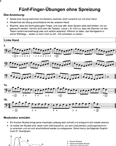 Flexible Basis Technique for Piano