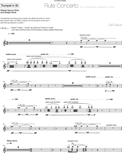 Flute Concerto - Orchestra Version