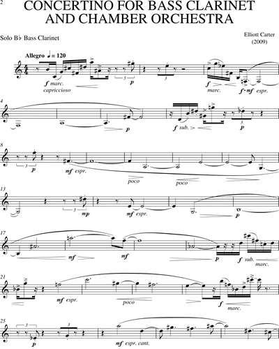 Concertino for Bass Clarinet and Chamber Orchestra