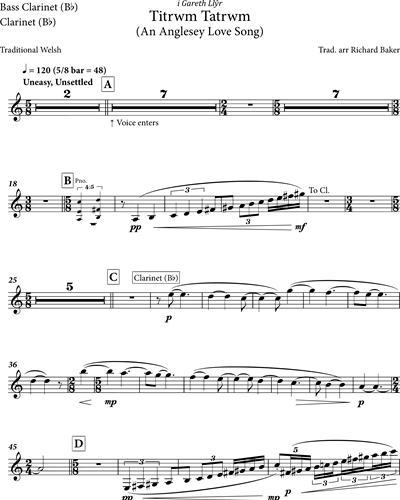Clarinet in Bb/Bass Clarinet in Bb