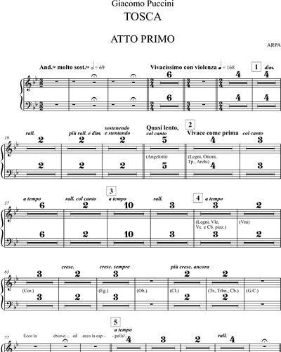 Tosca - Trascrizione per piccola orchestra