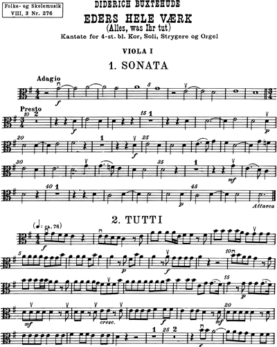 Viola 1