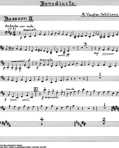 Bassoon 2