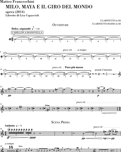 Clarinet in Bb/Bass Clarinet