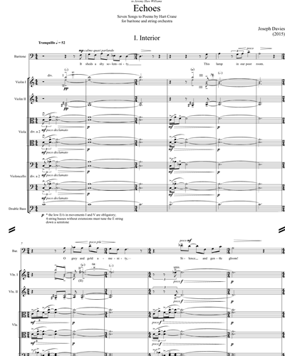 Echoes (Arrangement for Baritone and String Orchestra)