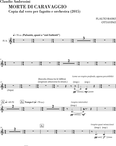 Bass Flute/Piccolo