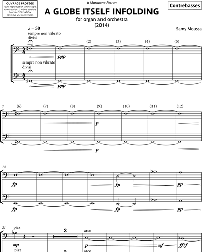 Double Bass & Double Bass with Low C (Optional)