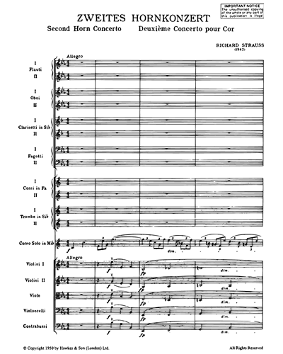 Horn Concerto No. 2 in E-flat, AV. 132