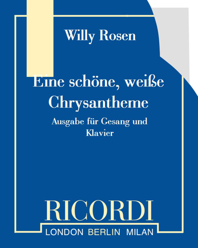 Eine schöne, weiße Chrysantheme