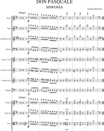 Don Pasquale - Riduzione per piccola orchestra