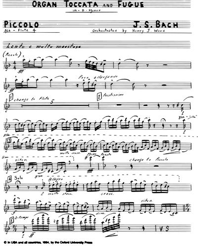 Flute 4/Piccolo