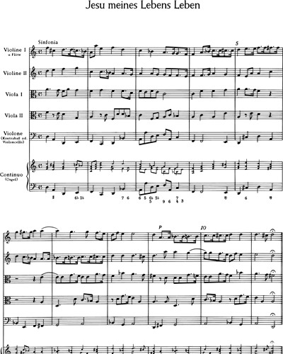 Full Score & Organ (Continuo)