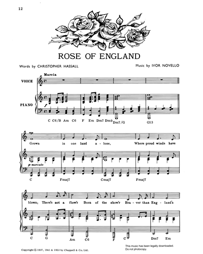 Rose Of England